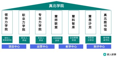薪人薪事線上沙龍 以數字化創新技術為引擎，驅動學習型組織構建